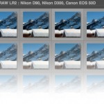 Test : comparatif Nikon D90, D300 et Canon 50D