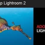 Logiciel : un comparatif Nikon Capture NX vs Adobe Lightroom