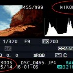 Rumeur : un nouveau boitier expert Nikon pour très bientôt ?