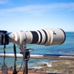 Test : l'objectif Canon 600mm f/4 IS