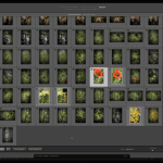 Test : découvrir l'importation avec Lightroom 3