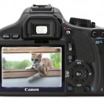 Test :  le reflex Canon EOS 550D sur le terrain