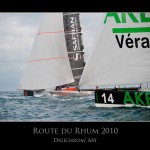 Divers : Route du Rhum 2010