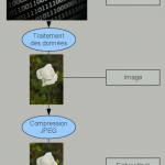 Technique : comprendre le format RAW