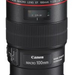 Test : l'objectif macro Canon EF 100mm F/2.8 L IS USM