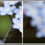 Technique : un problème de front/back focus ?