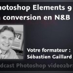 La conversion en noir et blanc avec PSE 9