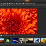 News : PaintShop Pro X4 disponible