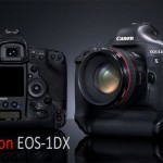 Reflex : Canon EOS 1DX vu par les pro