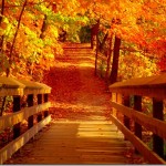 Images : des photos magnifiques de l'automne