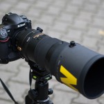 Test : l'objectif Nikon AF-S 300mm f/2,8 ED VR II sur le terrain