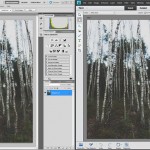 Logiciel : Photoshop vs Photoshop Elements