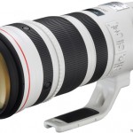 Test : sur le terrain avec le Canon EF 200-400mm f/4 L IS USM EXT 1,4