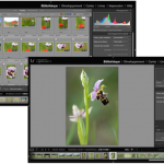 Astuce : tout savoir sur le Zoom de Lightroom 5 