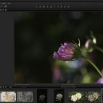 Logiciel : à la découverte de Capture One 7