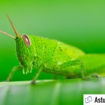 Astuce : 5 erreurs courantes du photographe débutant