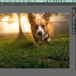 Astuce : réveiller les couleurs dans Photoshop