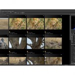 News : un vrai flux de travail avec Nikon Capture NX-D