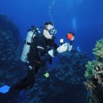 Technique : photographier sous l’eau