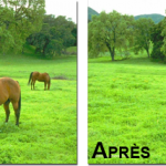 Astuce : supprimer des éléments sur une photo en moins d’1 minute