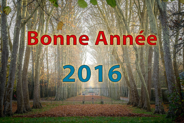 Bonne-Annee-2016
