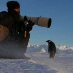 Interview Vincent Munier