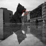 Technique : la vision du photographe